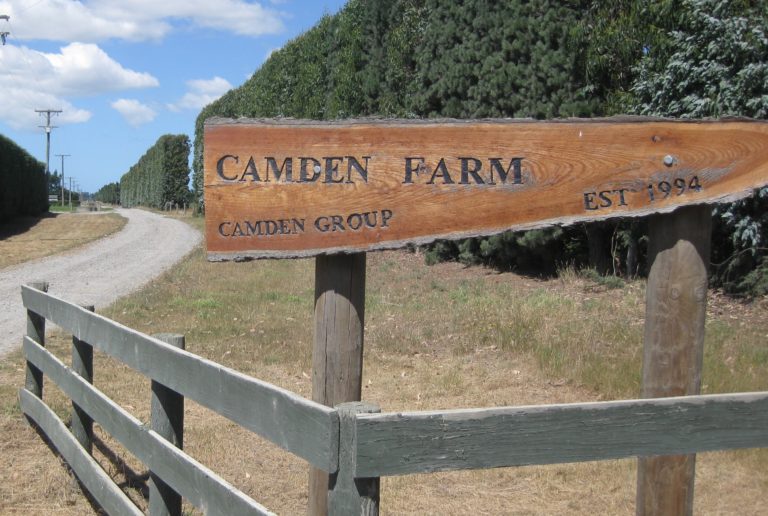 Camden Sign